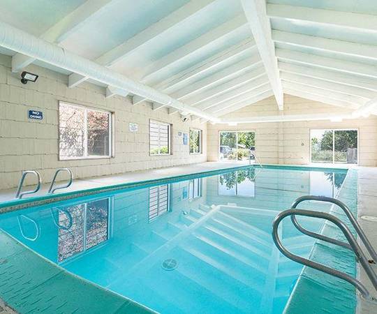 Winchester Ample Storage Space Ceiling - Room for Rent