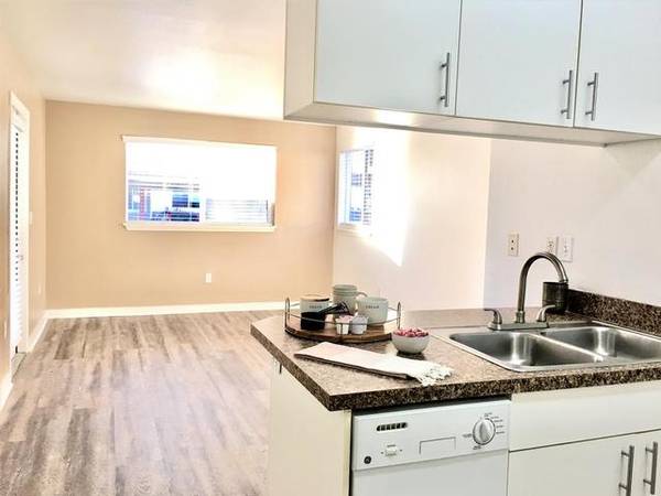 Boise Vaulted Foot Ceilings Must See - Room for Rent