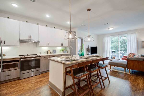 Nashville Br Ba Great For Pets Pet - Room for Rent