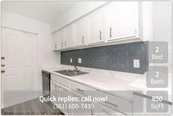 Corpus Christi Whiskers And Wagging - Room for Rent