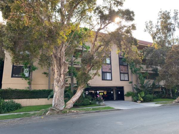 Los Angeles Single Roommate Wanted 100 - Room for Rent