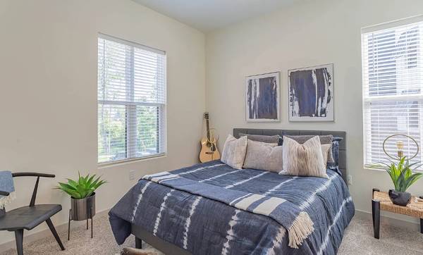 Orting Brand New Queen Bed Furniture - Room for Rent