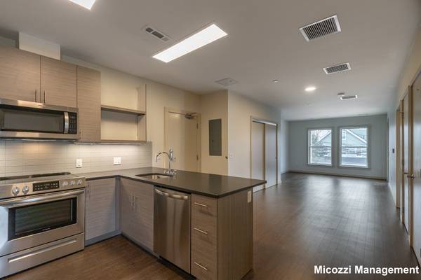 Newton Center No Fee Modern Open Floor - Room for Rent