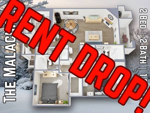 Colorado Springs This Spacious 2x2 Is - Room for Rent