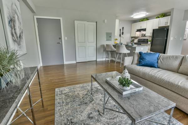 Temple Hills Spacious 2x15 Apt Includes - Room for Rent