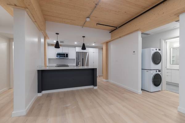 Boston South End Bed Bath In Unit Wd - Room for Rent