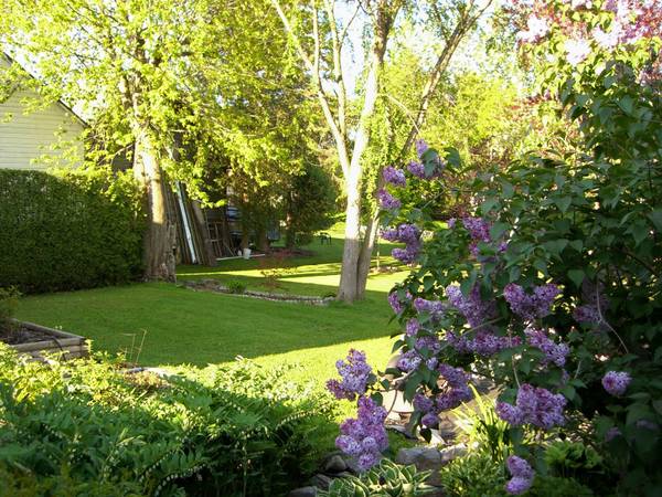 Plattsburgh Share Bed Half House 2 Full - Room for Rent