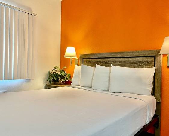 Studio 1 or 2 bed newly renovated daily and weekly prices!!!!! - apts/housing for rent - apartment r