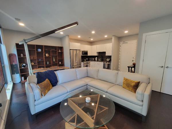 Pittsburgh Luxury Living In The City - Room for Rent