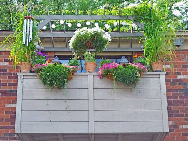 Columbus Bd Ba Located In Columbus - Room for Rent