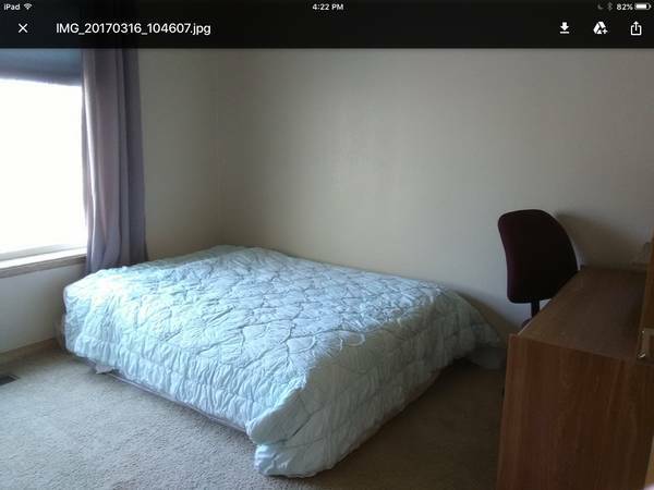 Fort Collins Very Quiet House Working - Room for Rent