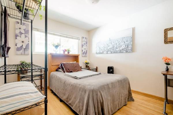 Davis Single Room In Bed Home Shared - Room for Rent