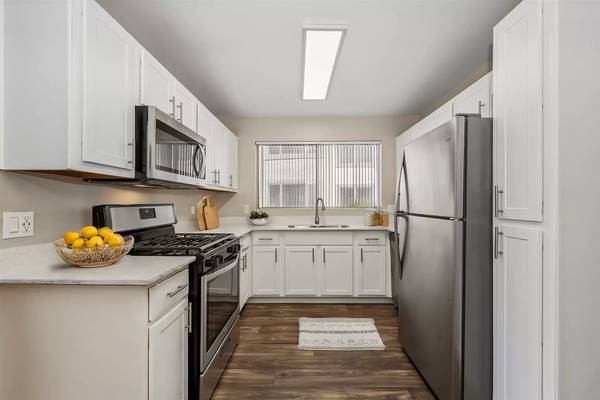 Mesa Spacious Bedroom Available Now - Room for Rent