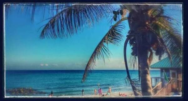 Boca Raton Beautiful Boca Beach House - Room for Rent