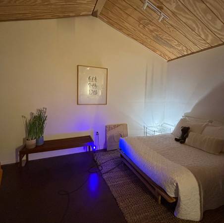 Lubbock Cute Modern One Bedroom - Room for Rent