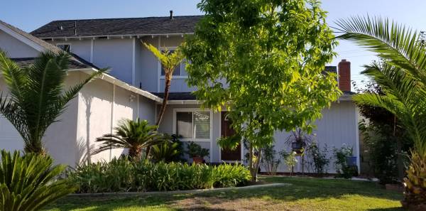 Large Bedrooms In Clean And Quiet - Room for Rent