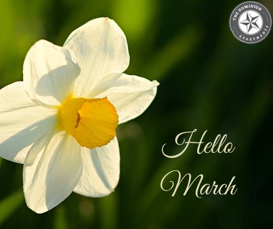 Lubbock New Apartment New Beginnings - Room for Rent