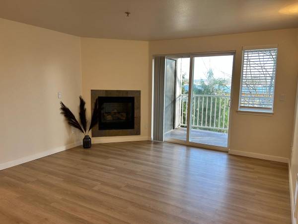 Mount Vernon Fenced Dog Park Fitness - Room for Rent