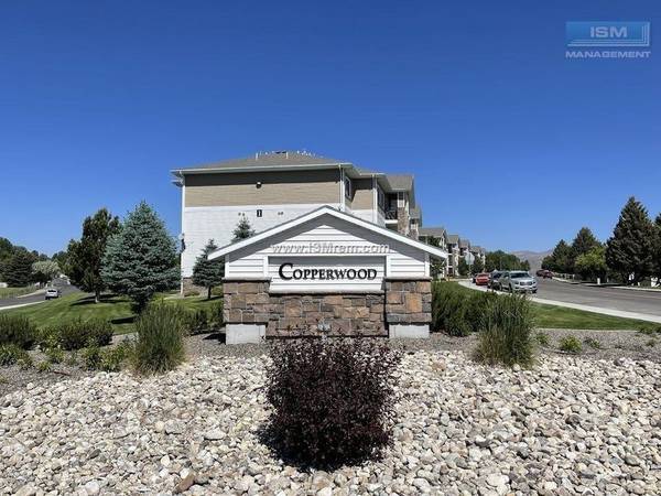 Elko Spectacular 1b 1b Apartment Great - Room for Rent