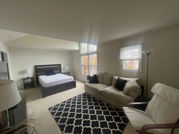 Vienna Large Furnished Master Bedroom - Room for Rent