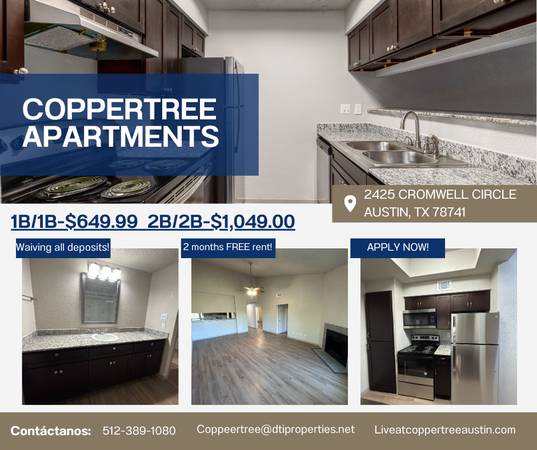 Austin Bedroom Bathroom Renovated - Room for Rent